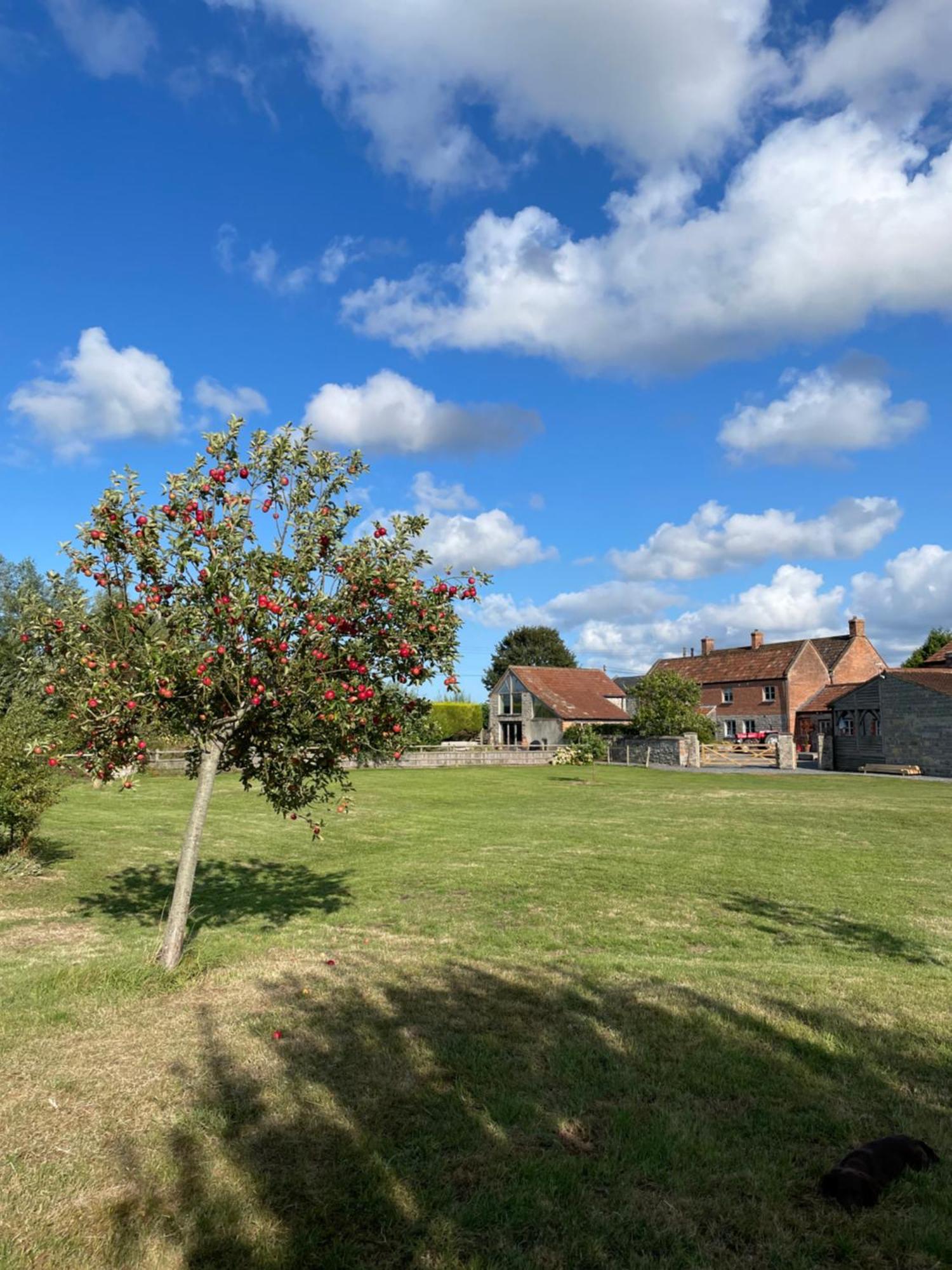 The Hayloft At Stathe Farm Bridgwater Exterior foto