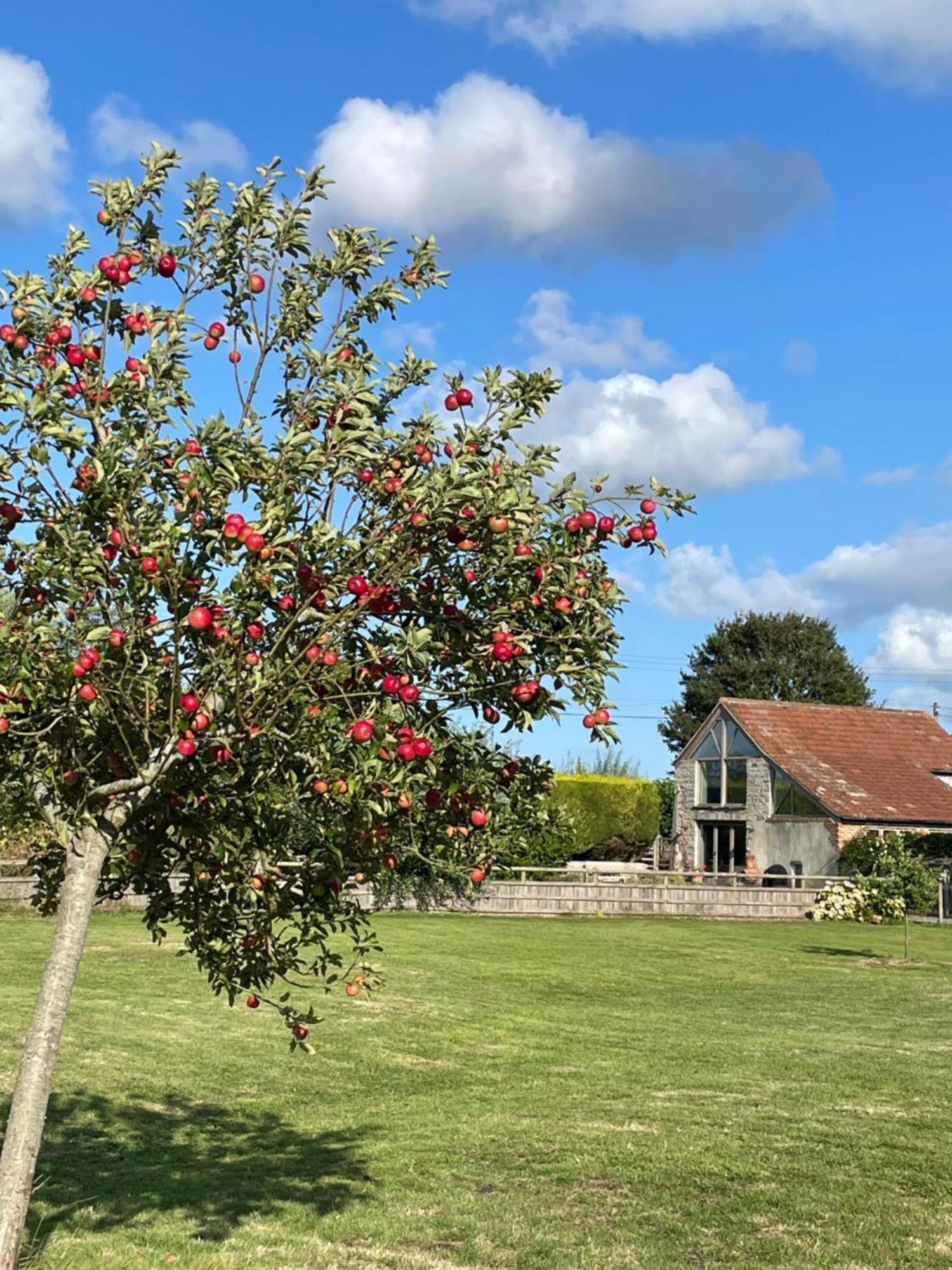 The Hayloft At Stathe Farm Bridgwater Exterior foto